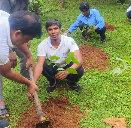 Community plantation drive