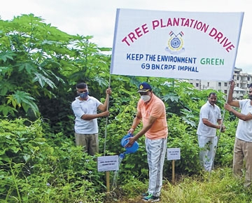 Green Odisha Plantation Drive